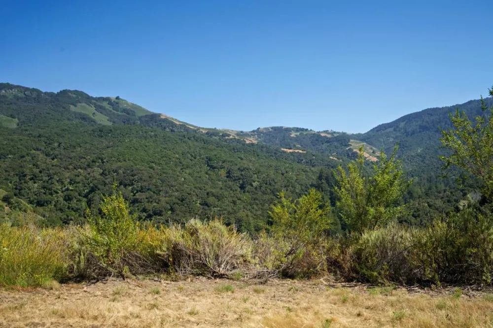 4 Holding Field Run Carmel, CA 93923