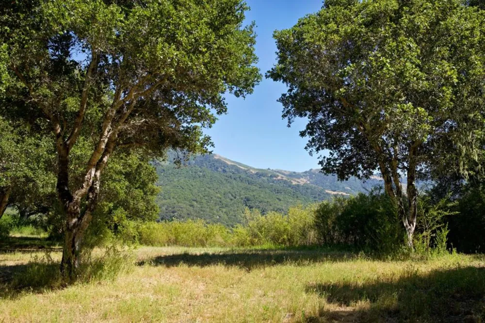 4 Holding Field Run Carmel, CA 93923