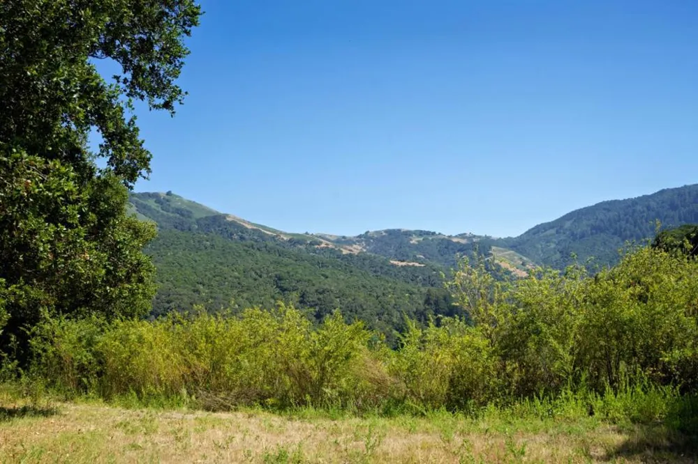 4 Holding Field Run Carmel, CA 93923