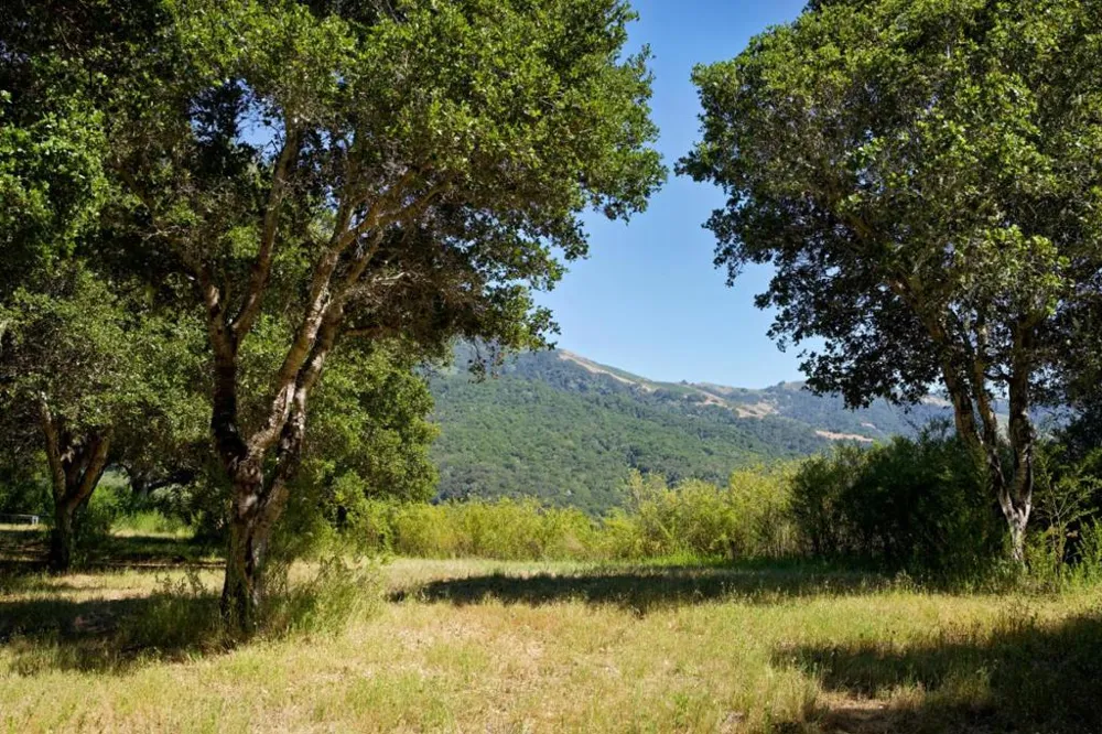 4 Holding Field Run Carmel, CA 93923