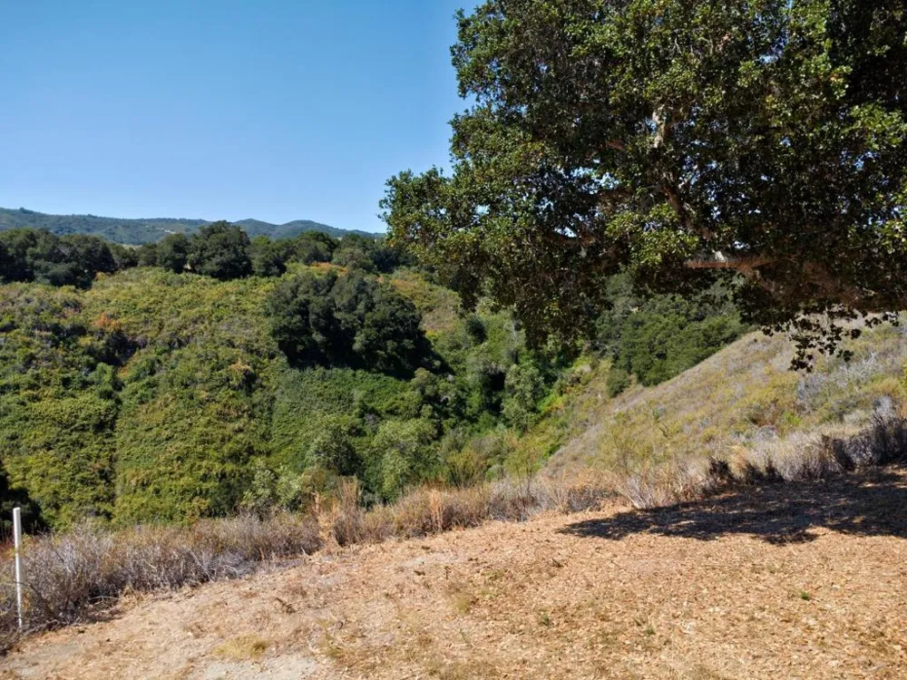 4 Holding Field Run Carmel, CA 93923