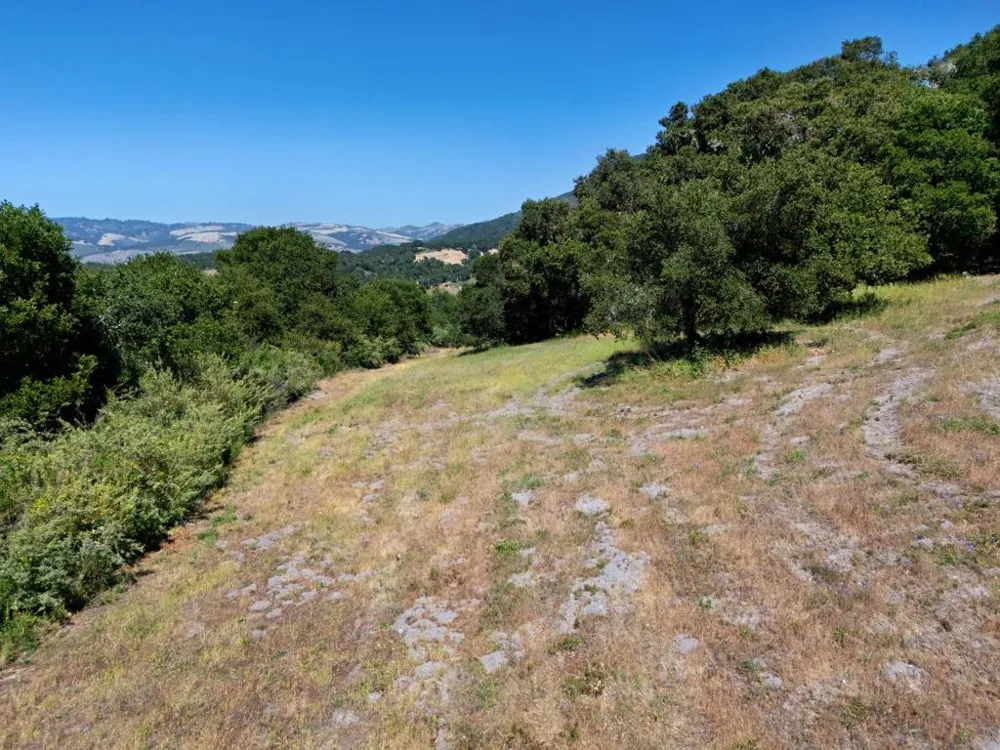 4 Holding Field Run Carmel, CA 93923