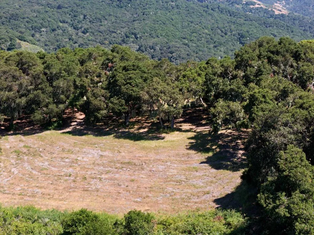 4 Holding Field Run Carmel, CA 93923