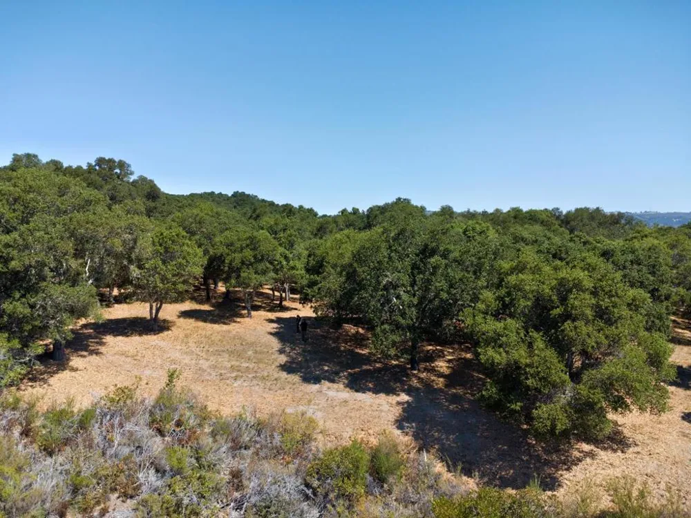4 Holding Field Run Carmel, CA 93923