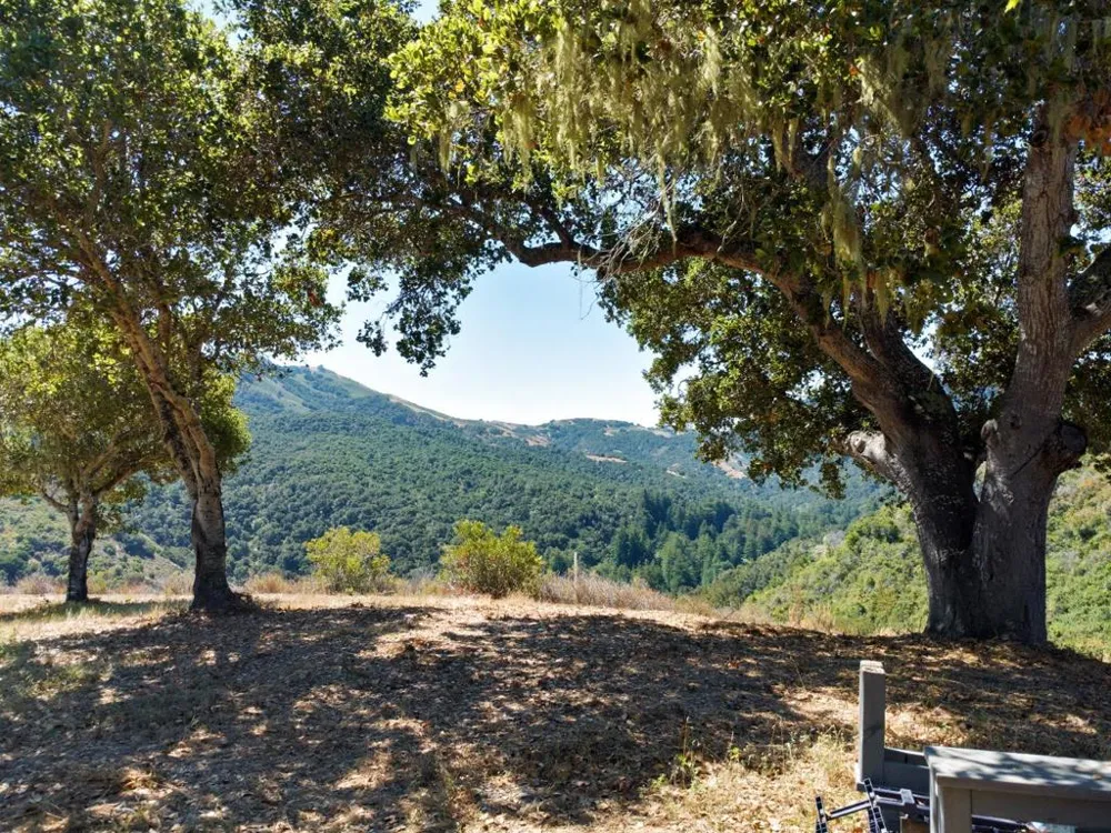 4 Holding Field Run Carmel, CA 93923