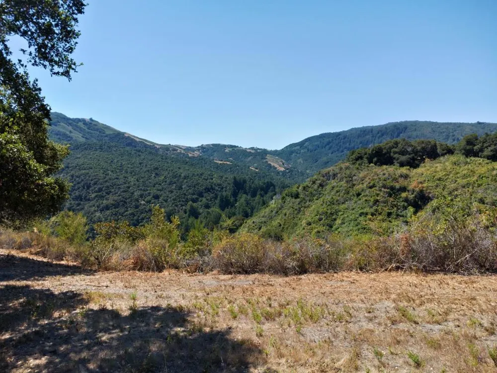 4 Holding Field Run Carmel, CA 93923