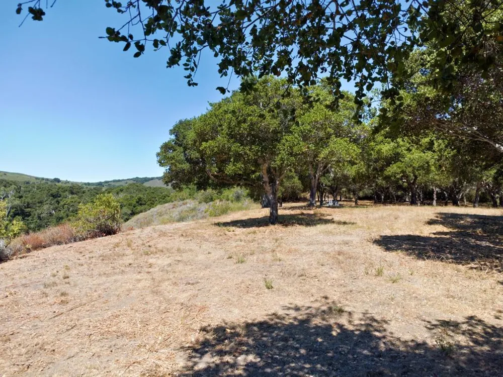 4 Holding Field Run Carmel, CA 93923