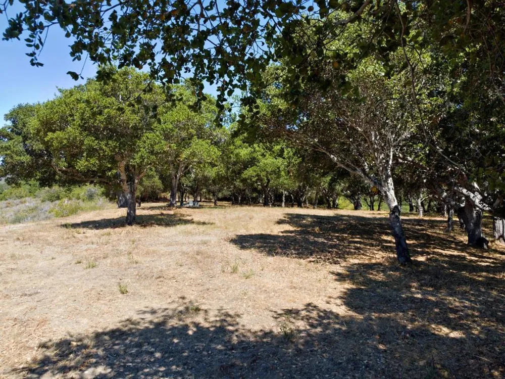4 Holding Field Run Carmel, CA 93923