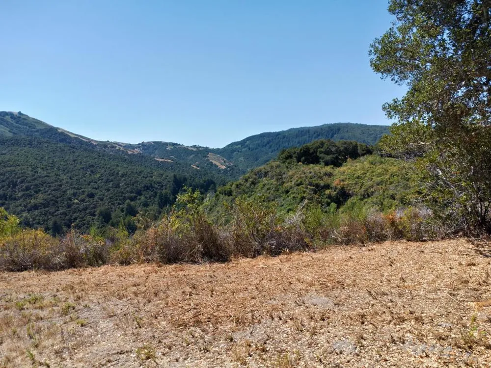 4 Holding Field Run Carmel, CA 93923