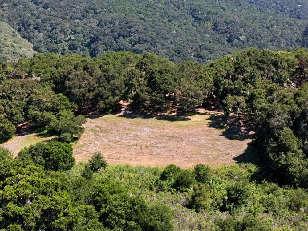 4 Holding Field Run Carmel, CA 93923