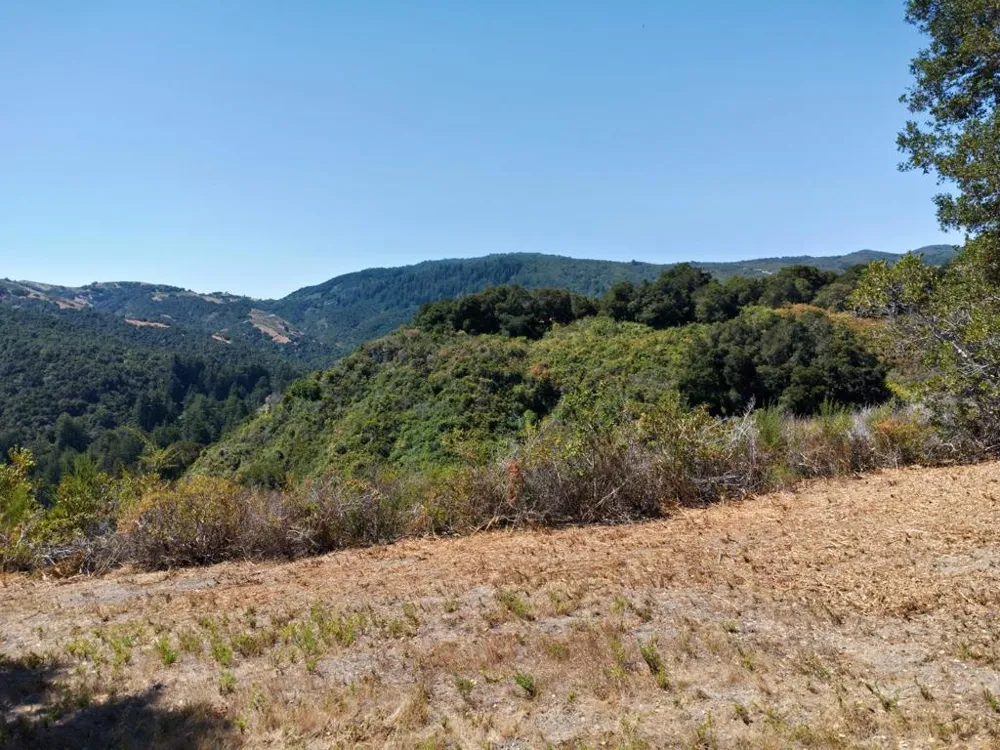 4 Holding Field Run Carmel, CA 93923