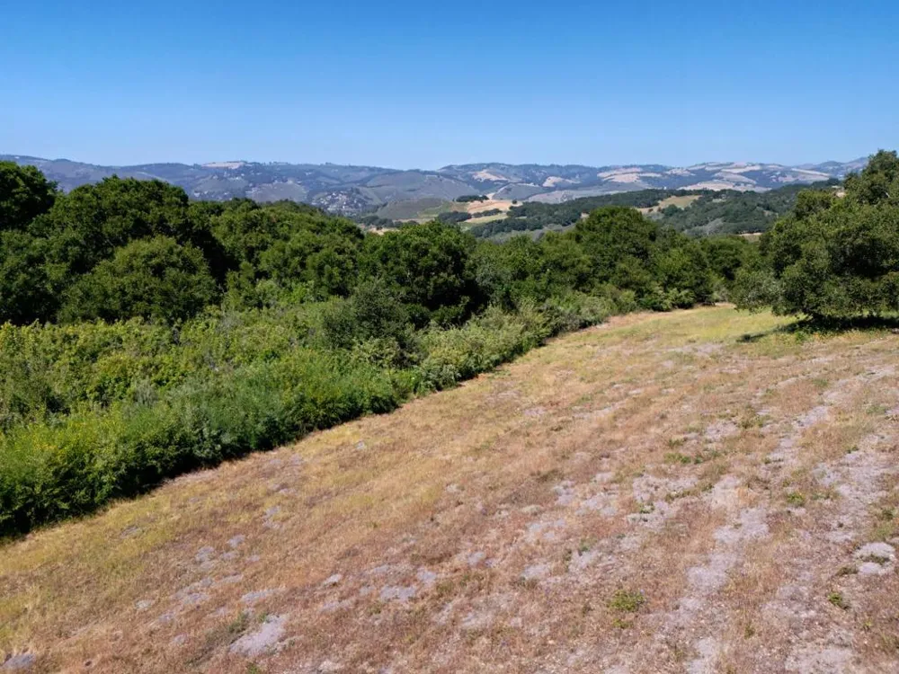 4 Holding Field Run Carmel, CA 93923