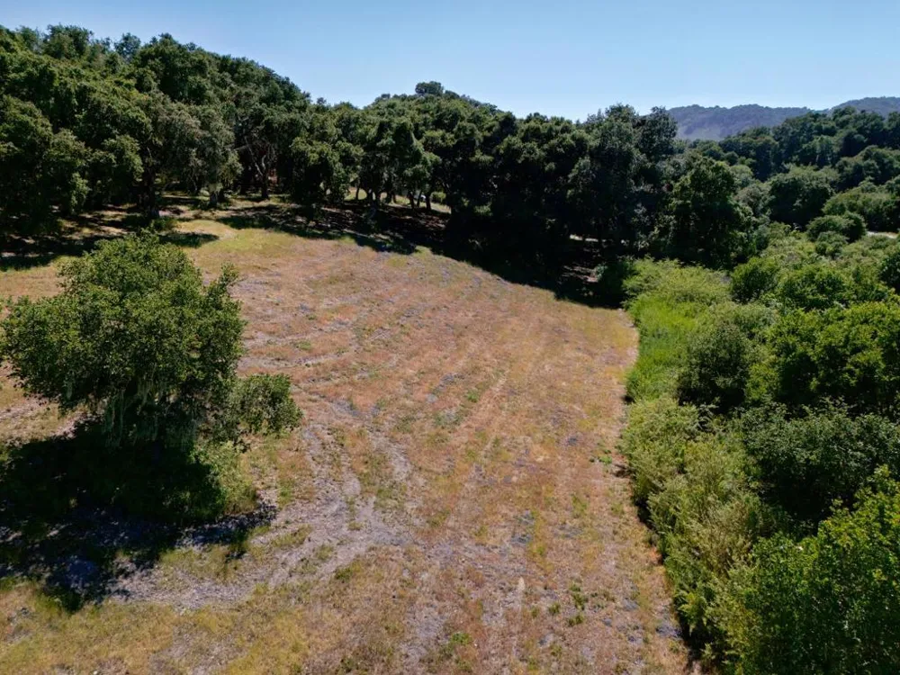4 Holding Field Run Carmel, CA 93923
