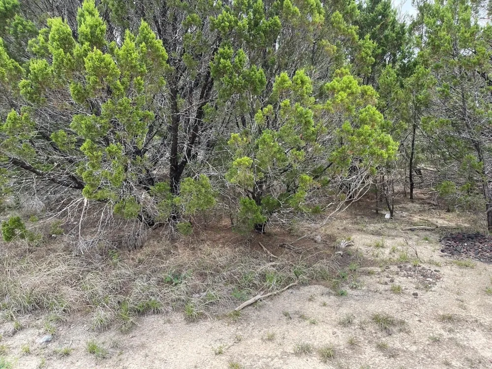Dillon Drive Copperas Cove, TX 76522