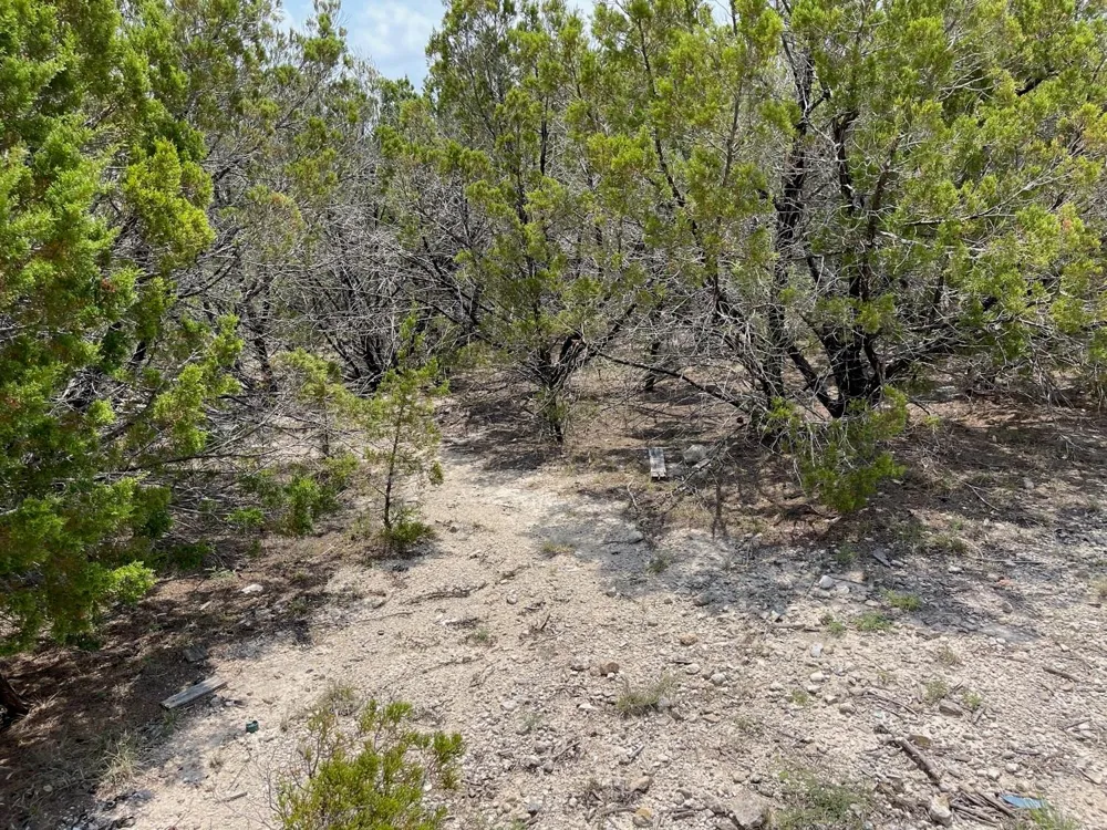Dillon Drive Copperas Cove, TX 76522
