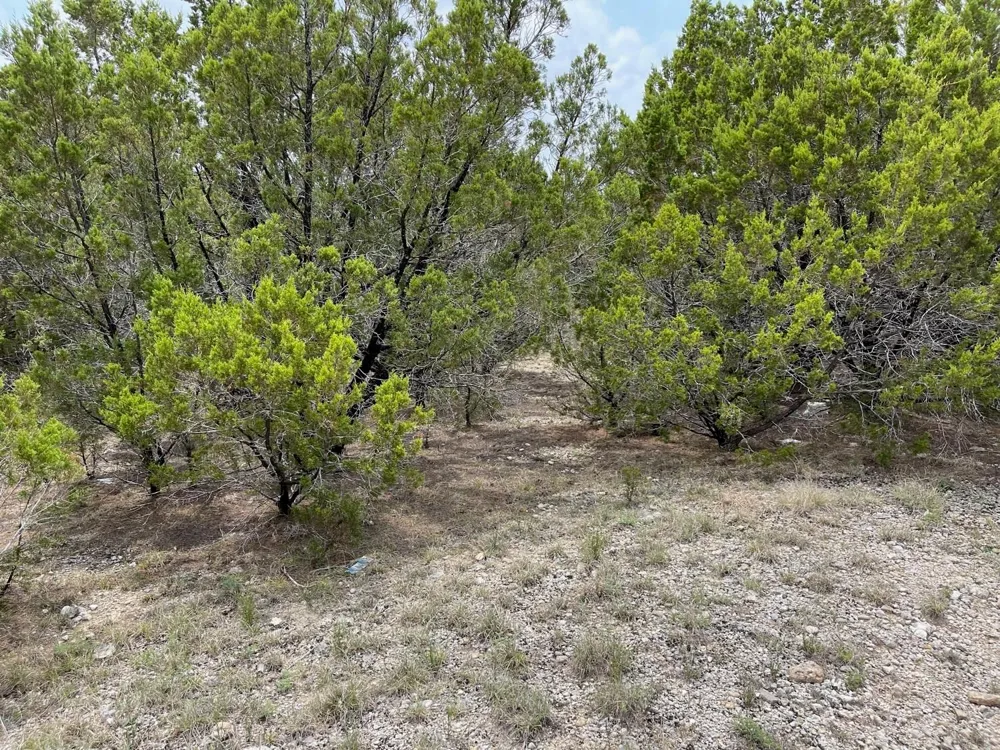 Dillon Drive Copperas Cove, TX 76522