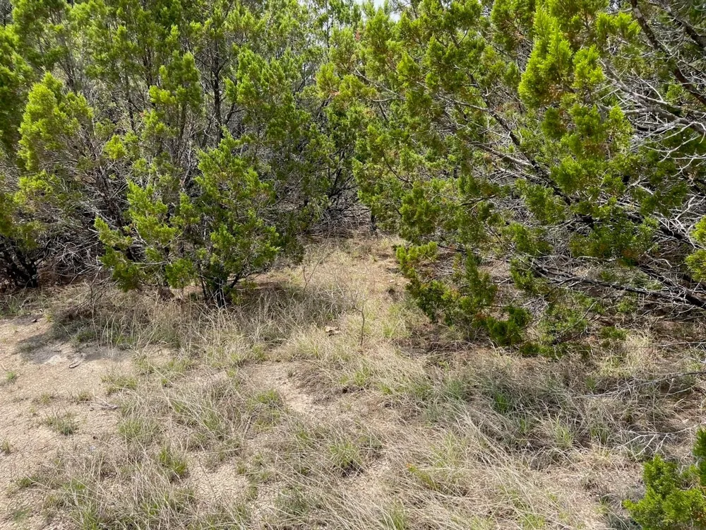 Dillon Drive Copperas Cove, TX 76522