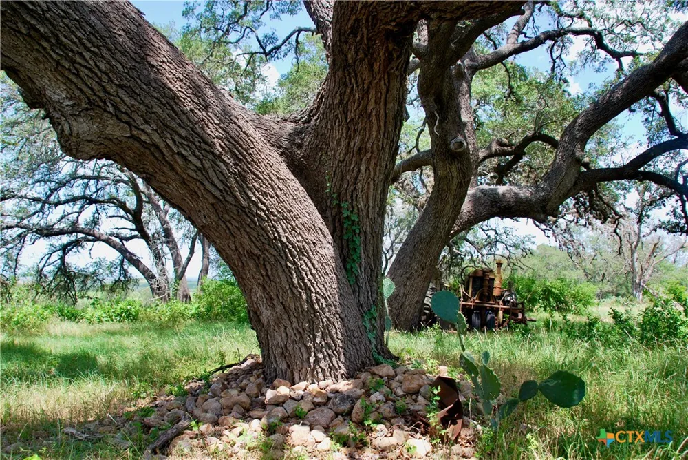 2725 Old Lehmann Road Kingsbury, TX 78638
