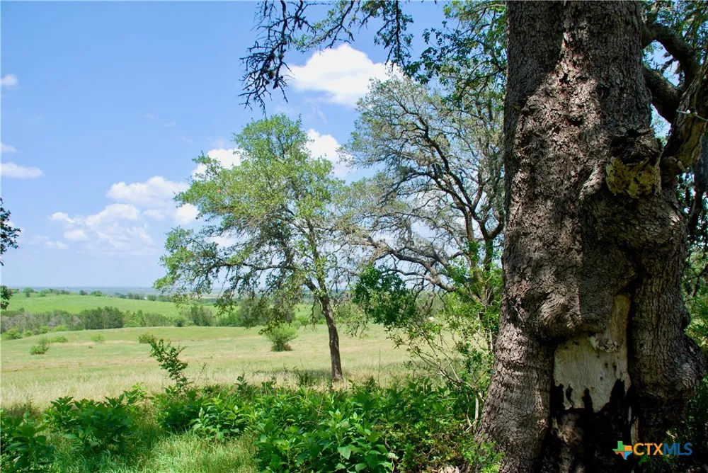 2725 Old Lehmann Road Kingsbury, TX 78638