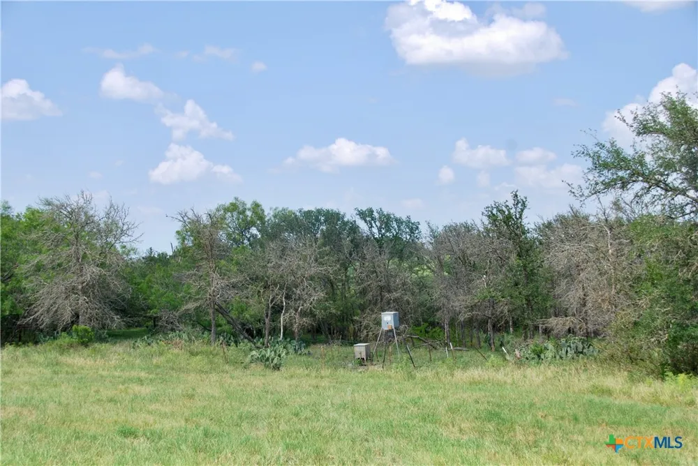 2725 Old Lehmann Road Kingsbury, TX 78638