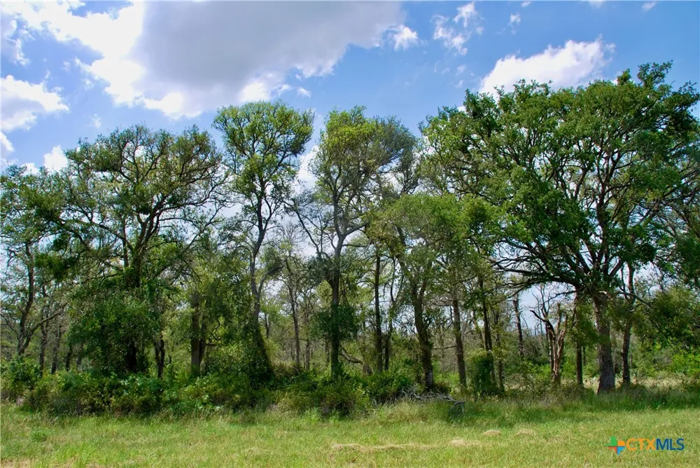 2725 Old Lehmann Road Kingsbury, TX 78638