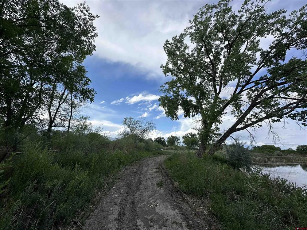 1500 COURT Delta, CO 81416
