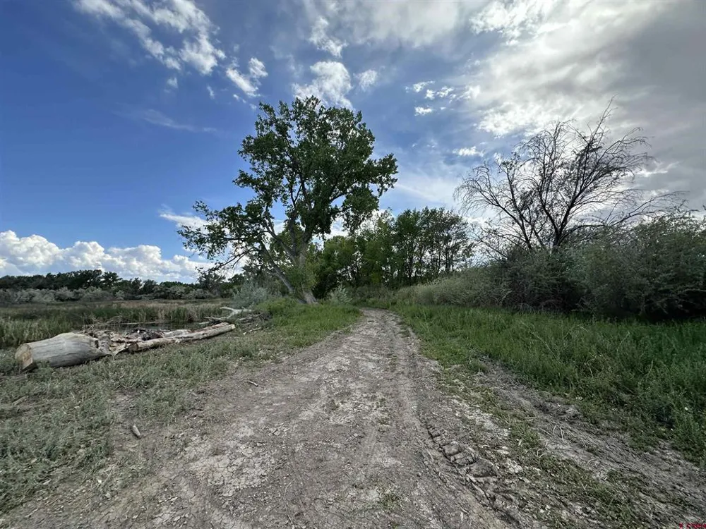 1500 COURT Delta, CO 81416