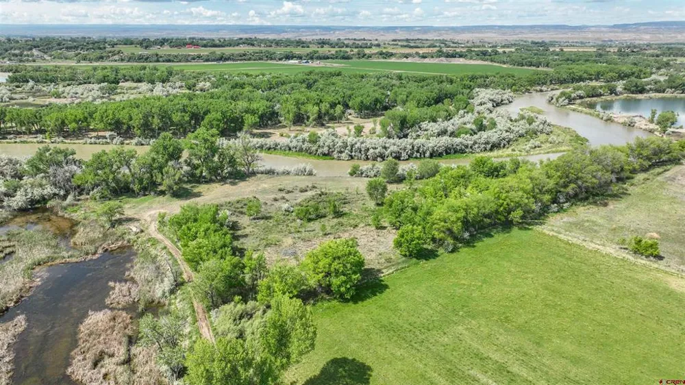 1500 COURT Delta, CO 81416