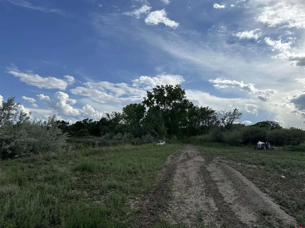 1500 COURT Delta, CO 81416