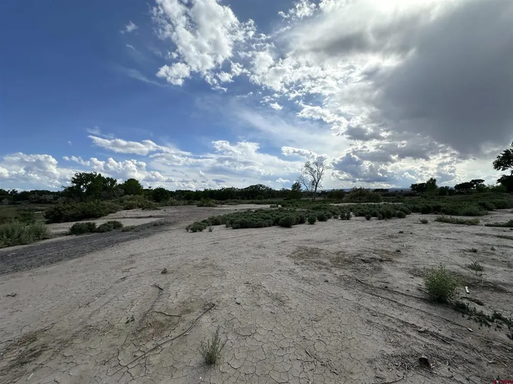 1500 COURT Delta, CO 81416