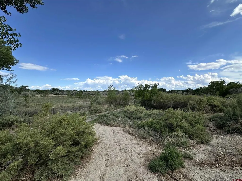 1500 COURT Delta, CO 81416