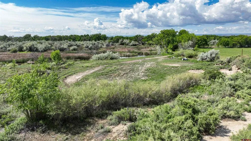 1500 COURT Delta, CO 81416