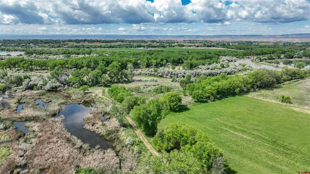 1500 COURT Delta, CO 81416