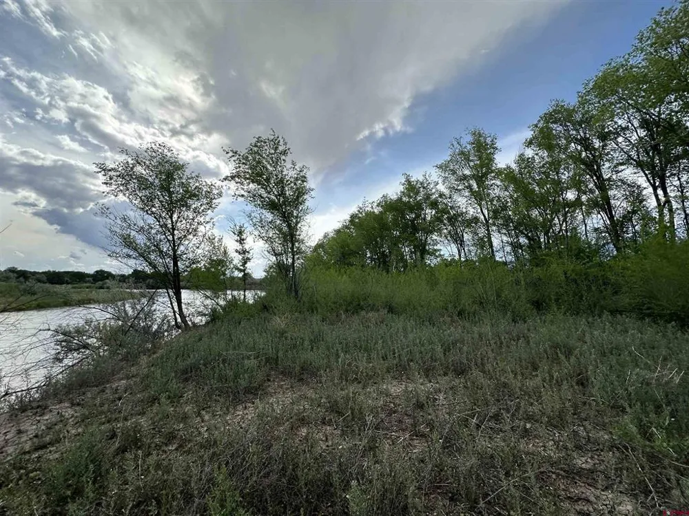 1500 COURT Delta, CO 81416