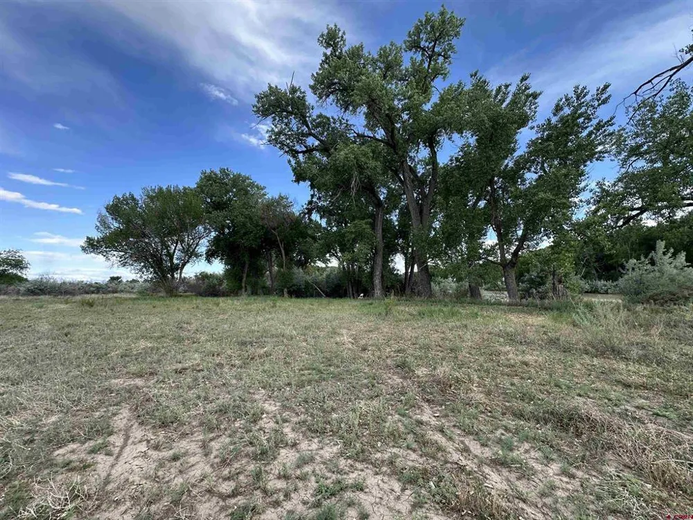 1500 COURT Delta, CO 81416