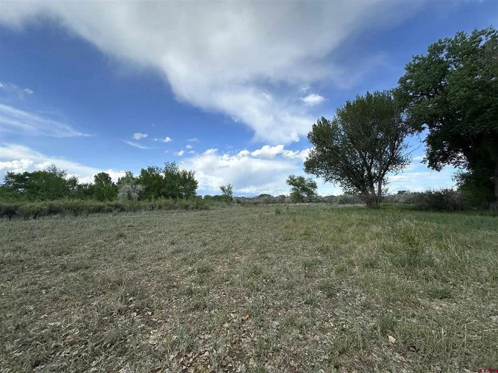 1500 COURT Delta, CO 81416