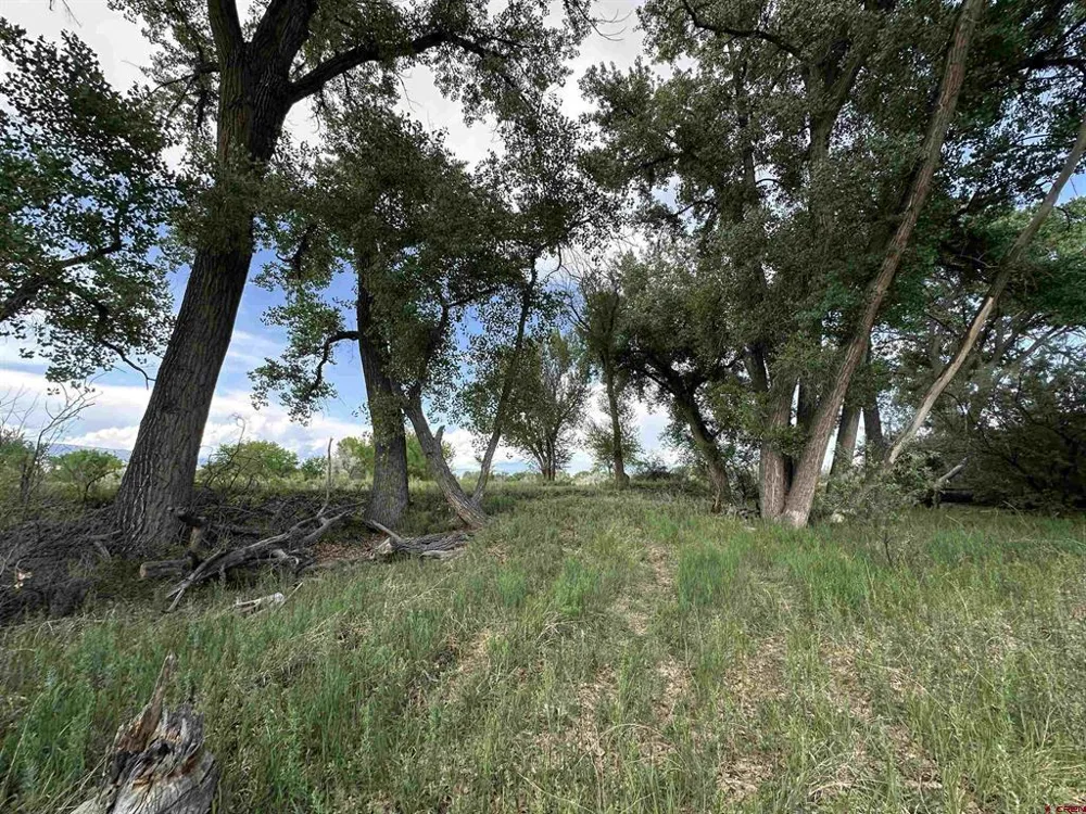 1500 COURT Delta, CO 81416