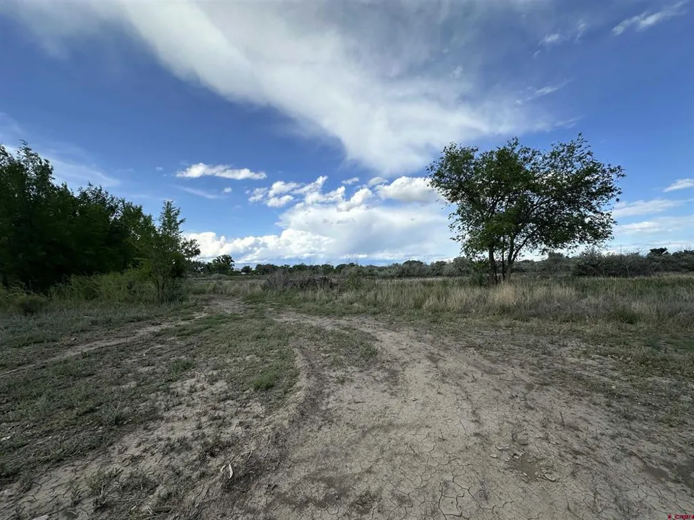 1500 COURT Delta, CO 81416