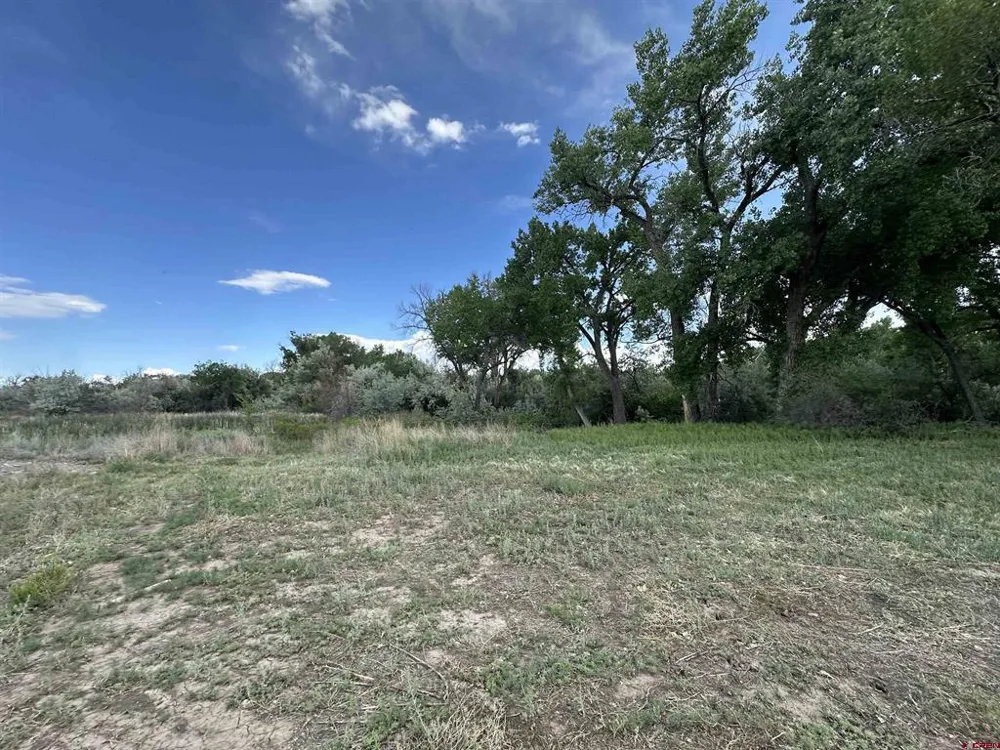 1500 COURT Delta, CO 81416