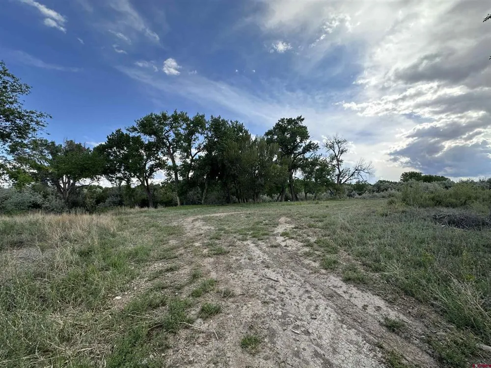 1500 COURT Delta, CO 81416
