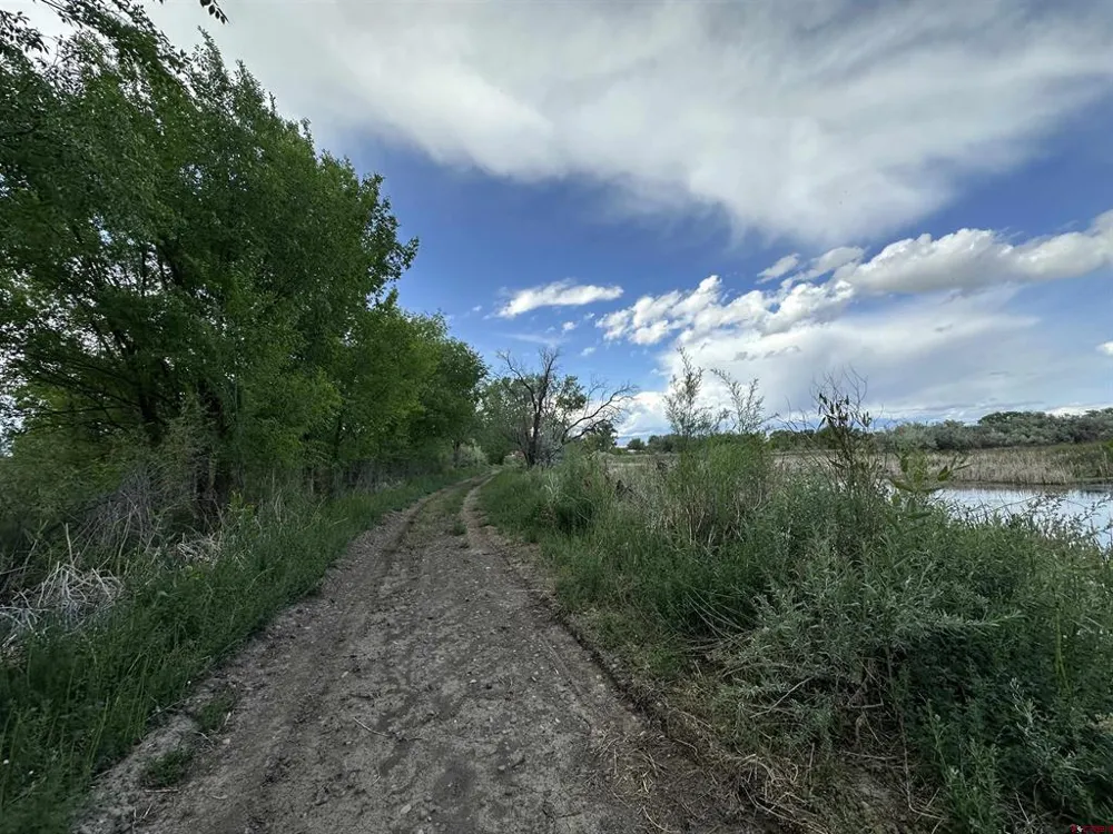 1500 COURT Delta, CO 81416