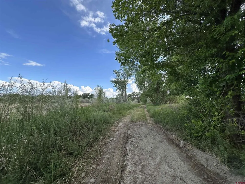 1500 COURT Delta, CO 81416
