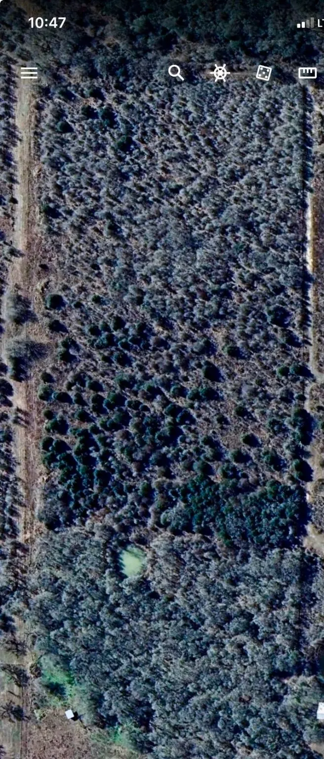 County Road 123 Ledbetter, TX 78946