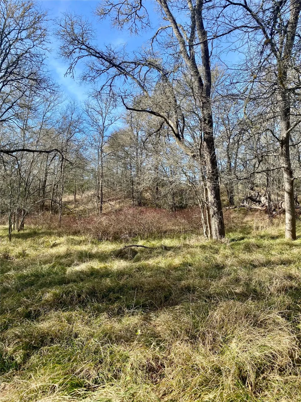 County Road 123 Ledbetter, TX 78946