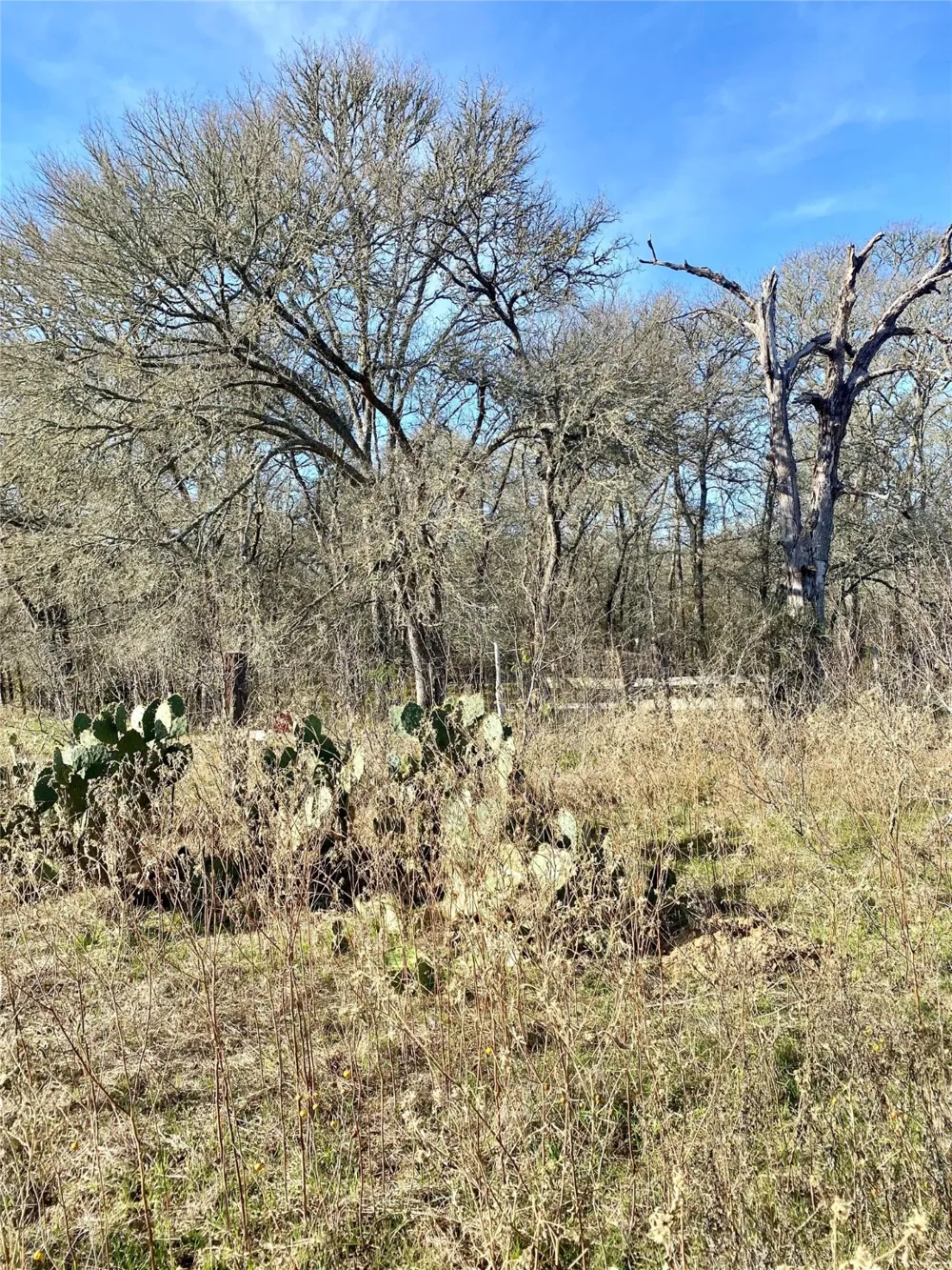 County Road 123 Ledbetter, TX 78946