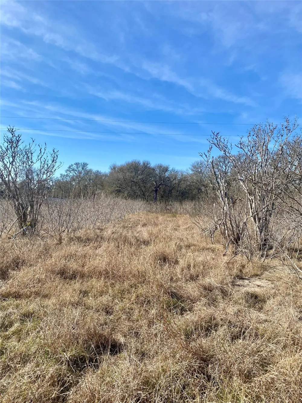 County Road 123 Ledbetter, TX 78946