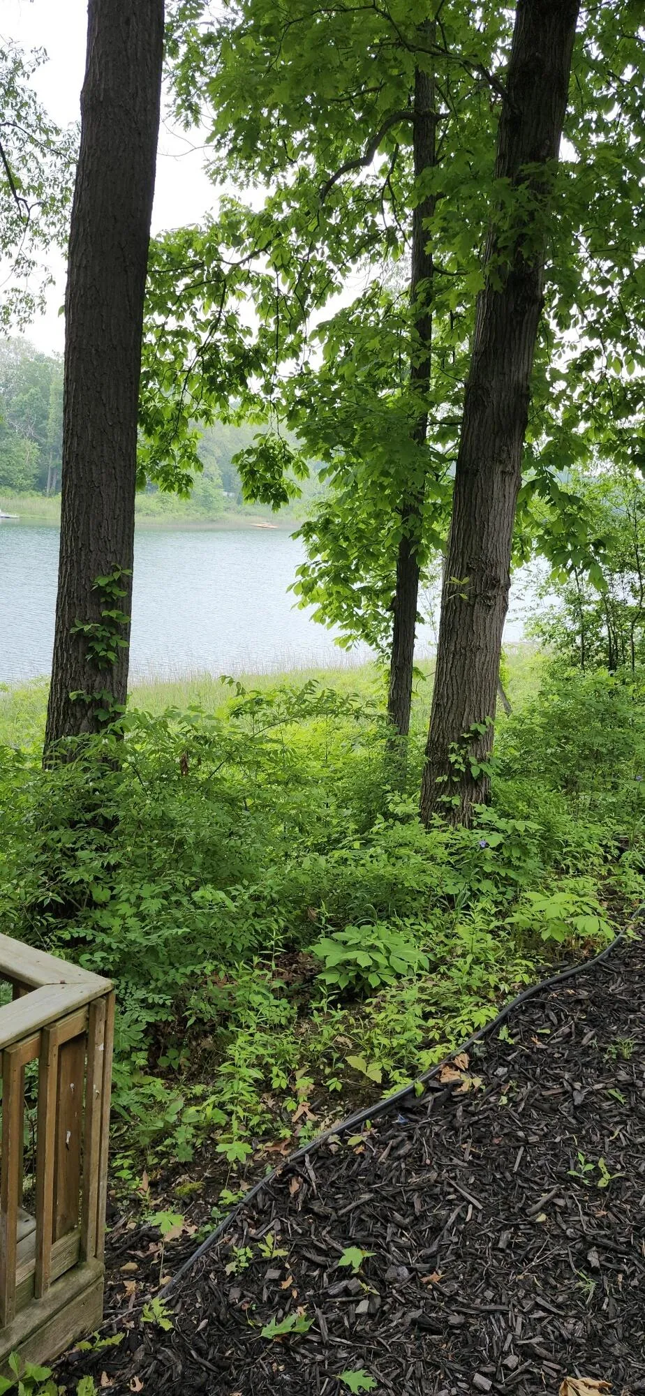 21932 Buffalo Ln. Lane Cassopolis, MI 49031