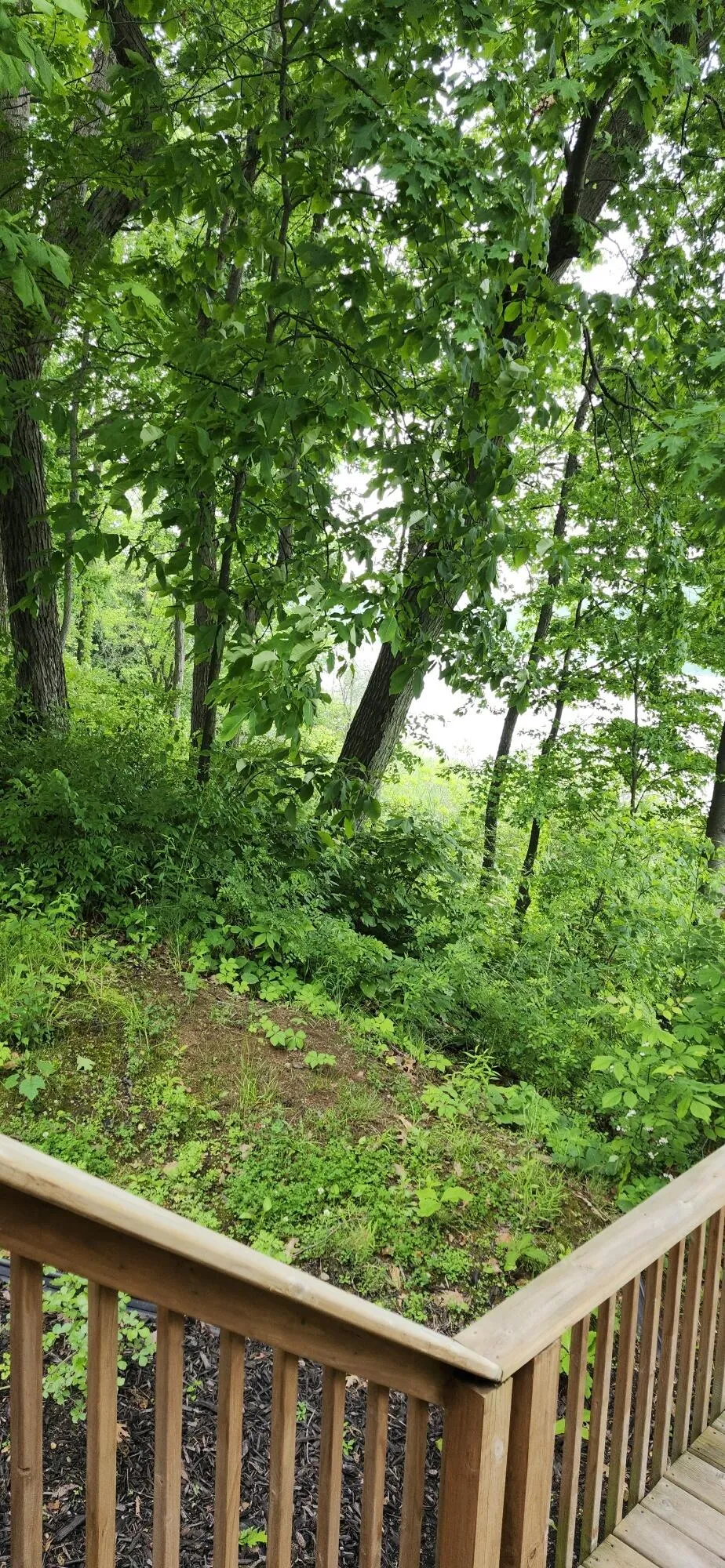 21932 Buffalo Ln. Lane Cassopolis, MI 49031