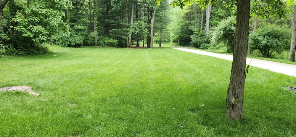 21932 Buffalo Ln. Lane Cassopolis, MI 49031