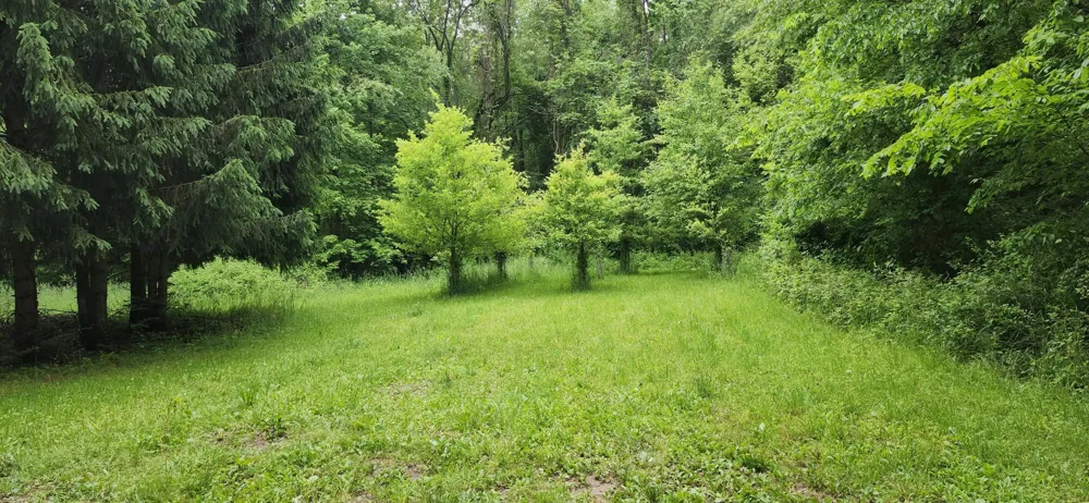 21932 Buffalo Ln. Lane Cassopolis, MI 49031